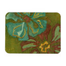 Search for flowered background magnets Abstract