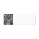 Search for postcard return address labels Nature
