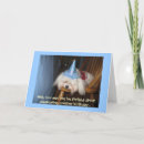 Search for maltese birthday cards Pet