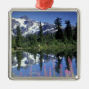 Search for meadow ornaments Blue sky