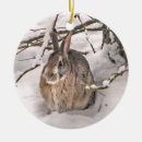 Search for furry animal ornaments Wildlife