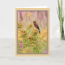 Search for black wing cards Wildlife
