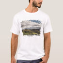 Search for rolling hill Scene