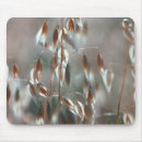 Search for oats electronics Nature