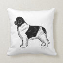 Search for landseer newfoundland Black