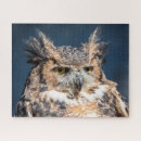Recherche de cornes puzzles Rapace