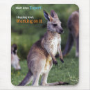 Search for kangaroo electronics Joey