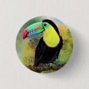 Recherche de exotique badges Oiseau