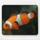 Search for rainbow fish mousepads Water