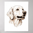 Search for golden retriever posters Pug