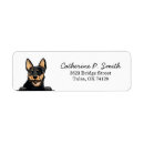 Search for australian cattle dog return address labels Pet