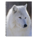 Recherche de loup arctique Animaux sauvages