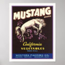 Search for mustang posters Horse