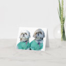Search for shih tzu cards Pets