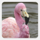 Search for captivity stickers Animal