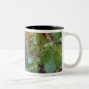 Search for grape vineyards mugs France