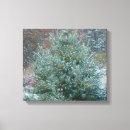 Search for christmas canvas prints Photography