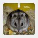 Search for hamster ornaments Pets