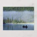 Search for waterfowl postcards Reflection