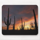Search for sonoran mousepads Southwest