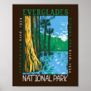 Recherche de marécage posters Parc national de everglades
