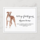 Recherche de chien boxer cartes postales Amoureux des chiens