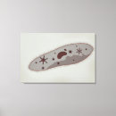 Search for microbiology art Medical