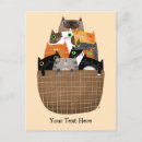 Recherche de abri animal invitations Chat