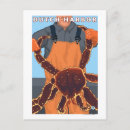 Recherche de le havre cartes postales Port