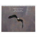 Search for eagle calendars Nature