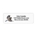 Search for bluebird return address labels Nature