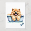 Recherche de chow chow cartes postales Aquarelle