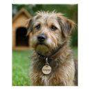 Recherche de adoptie posters Toute personne
