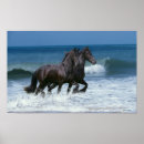 Recherche de friesian posters Imaginaire