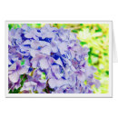 Recherche de hortensia bleu cartes postales Ressort
