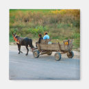 Recherche de roumanie magnets Transport