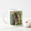 Recherche de animal familier tasses Dogs