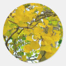 Search for sealer stickers Green