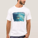 Search for dive sites Australian