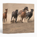 Search for galloping binders Country