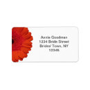 Search for daisy return address labels Red