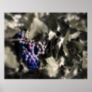 Search for cellar posters Grape