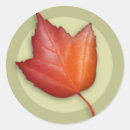 Search for autumn maple leaf stickers Leaves