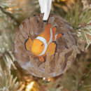 Search for coral ornaments Photography