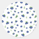 Search for cute blueberry stickers Birthday