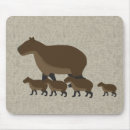 Search for capybara mousepads South america