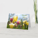 Search for tulips thank you cards Red