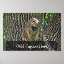 Search for cool trees posters Nature