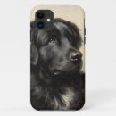 Search for newfoundland dog iphone cases Pet