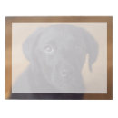 Recherche de labrador blocsnotes Chiot